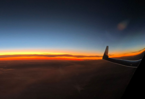 Image of wing