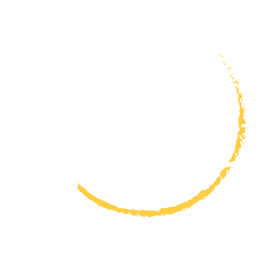 Aircraft Owner