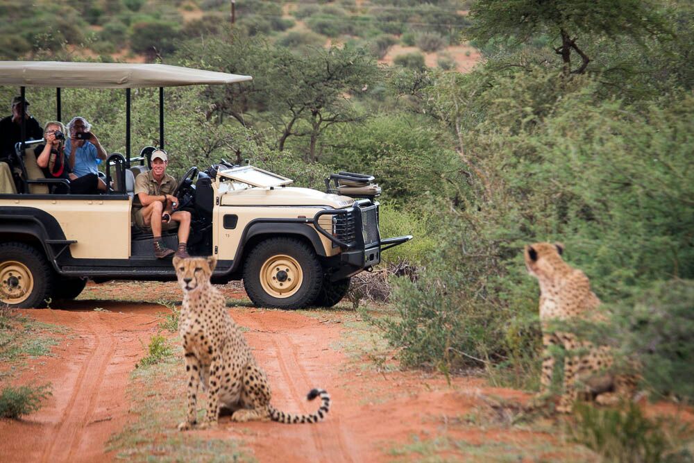 Images by Juan Venter
